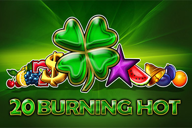 Egt Provide 20 Bh Азино Казино играть